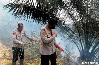 Kapolres Dharmasraya Tinjau Lokasi Karhutla di Timpeh, Imbau Masyarakat tidak Membakar Lahan