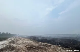 Pengembangan Kasus Karhutla di KM 75 Desa Tasik Tebing Serai, Polres Bengkalis Tetapkan Tersangka Dugaan Pendudukan Kawasan Hutan Tanpa Izin