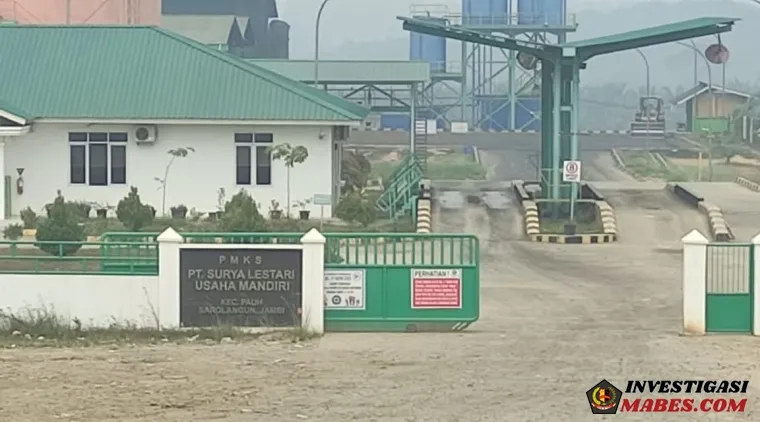 Karang Taruna Sarolangun Soroti PT SLUM, Desak Evaluasi K3 hingga Pengelolaan Lingkungan