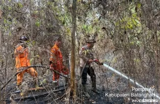 Brimob Polda Jambi Bersama Tim Gabungan Lakukan Pemadaman dan Pendinginan Karhutla di Batanghari dan Muaro Jambi