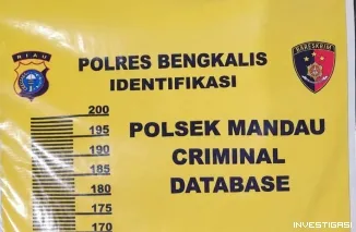 Diduga Cabuli Perempuan dengan Keterbatasan Intelektual, Pria 54 Tahun Diamankan Polsek Mandau